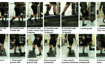 Continual learning for bionic limb behavior modeling: una vía prometedora para el control adaptativo en robótica asistiva