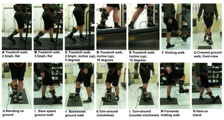 Continual learning for bionic limb behavior modeling: a promising path for adaptive control in assistive robotics